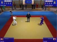 Screenshot 3D Judo Fighting