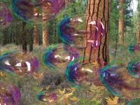Pantallazo Amazing Bubbles 3D Screensaver