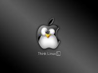 Pantallazo Piensa Linux