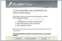 Foto Adobe Flash Player (Internet Explorer)