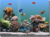 Pantallazo SereneScreen Marine Aquarium